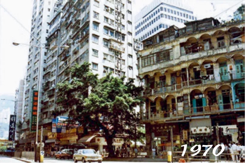 在岸港2021台歷